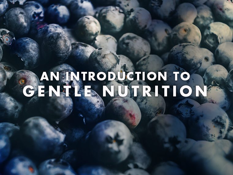 An Introduction to Gentle Nutrition
