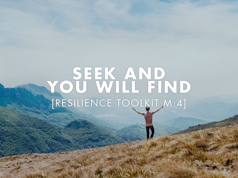 Seek and You Will Find