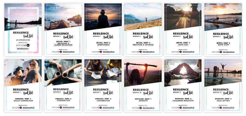 The Resilience Toolkit | eCourse | DOWNLOAD